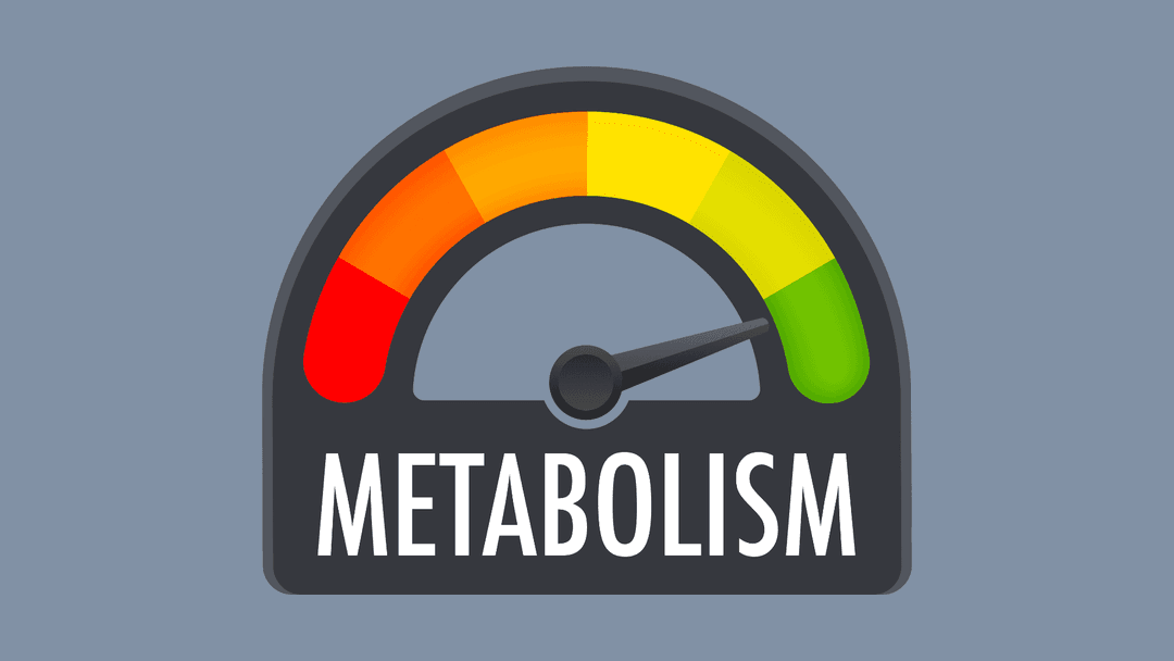 Bisa Jadi Metabolisme Tubuh Anda Lambat